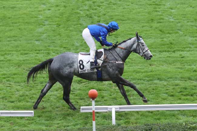Photo d'arrivée de la course pmu PRIX GLORIEUSE à SAINT CLOUD le Lundi 30 octobre 2023