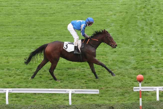 Photo d'arrivée de la course pmu PRIX DE NOTRE-DAME DE LIVAYE à SAINT CLOUD le Lundi 30 octobre 2023