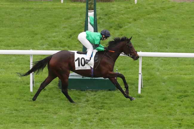 Photo d'arrivée de la course pmu PRIX ISOLA BELLA - FONDS EUROPEEN DE L'ELEVAGE à SAINT CLOUD le Lundi 30 octobre 2023
