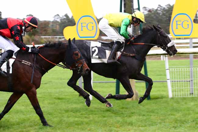 Photo d'arrivée de la course pmu PRIX WWW.COURSESCHEVAUX.FR à FONTAINEBLEAU le Lundi 30 octobre 2023