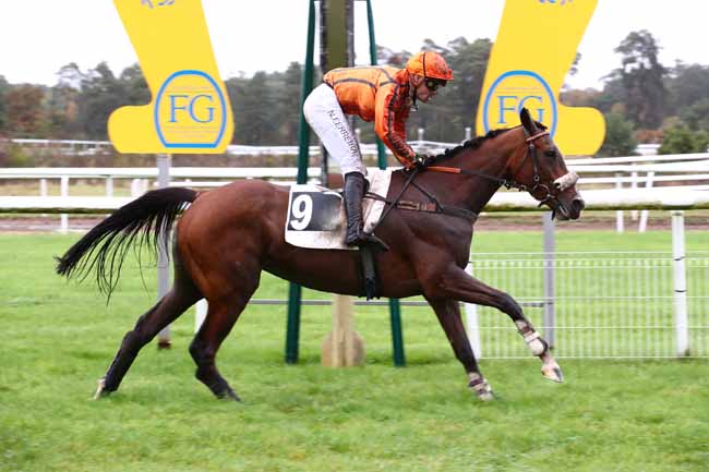 Photo d'arrivée de la course pmu PRIX D'URY à FONTAINEBLEAU le Lundi 30 octobre 2023