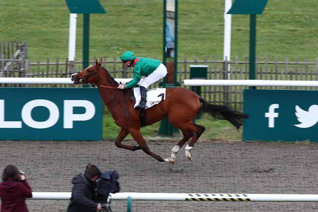 Photo d'arrivée de la course pmu PRIX DU MONT CESAR à CHANTILLY le Mardi 31 octobre 2023