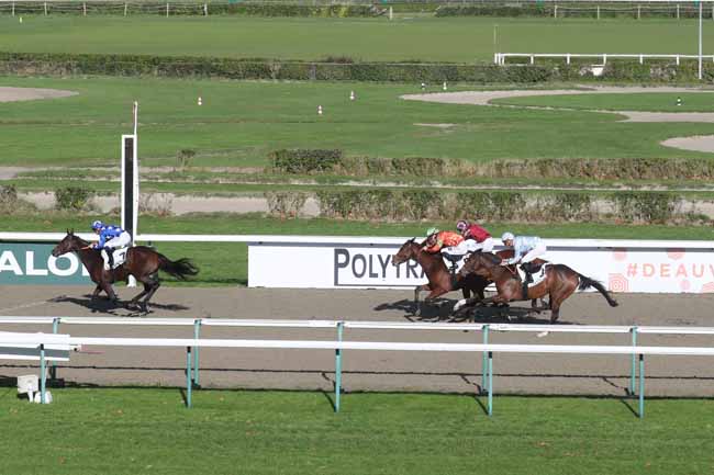 Photo d'arrivée de la course pmu PRIX DE LA ROCQUE à DEAUVILLE le Dimanche 5 novembre 2023