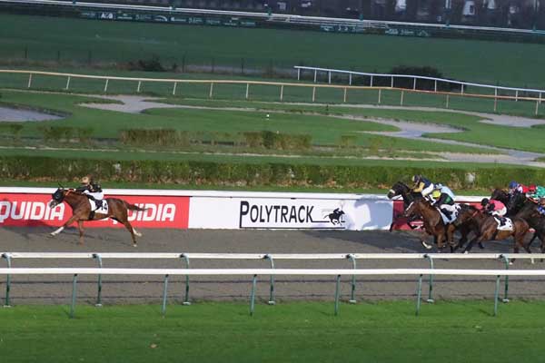 Photo d'arrivée de la course pmu PRIX DU VEXIN BOSSU à DEAUVILLE le Dimanche 5 novembre 2023