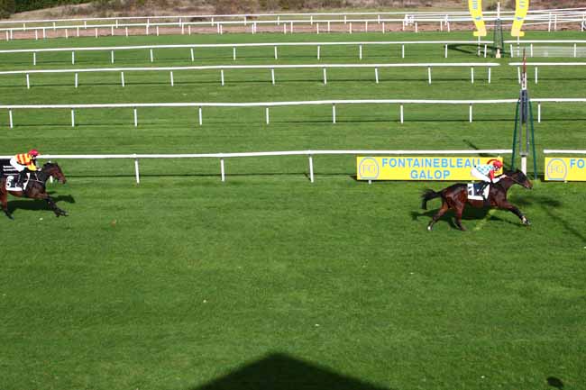 Photo d'arrivée de la course pmu PRIX DES PINS NOIRS à FONTAINEBLEAU le Mardi 7 novembre 2023