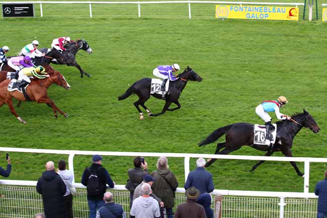 Photo d'arrivée de la course pmu PRIX DE LA SEINE-ET-MARNE à FONTAINEBLEAU le Mardi 7 novembre 2023