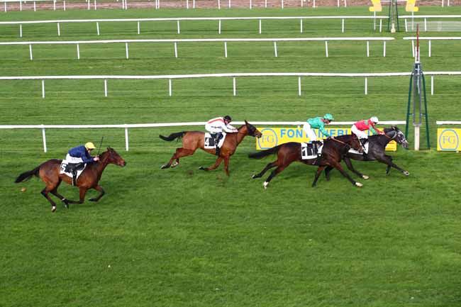 Photo d'arrivée de la course pmu PRIX DENISY à FONTAINEBLEAU le Mardi 7 novembre 2023
