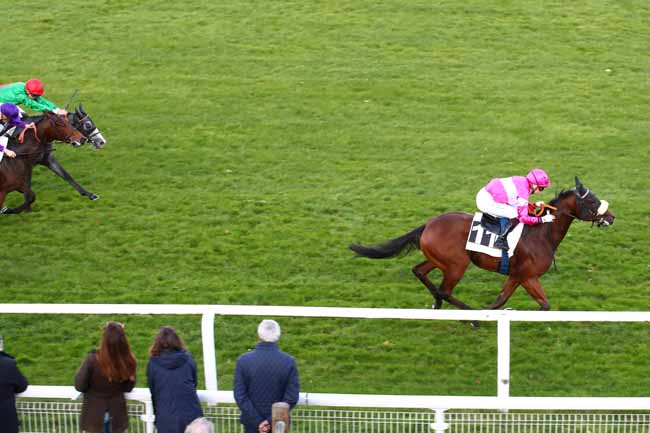 Photo d'arrivée de la course pmu PRIX DE LA LANDE DE VICHY à FONTAINEBLEAU le Mardi 7 novembre 2023