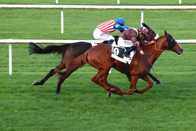 Photo d'arrivée de la course pmu PRIX DU CENTRE D'ECOTOURISME DE FRANCHARD à FONTAINEBLEAU le Mardi 7 novembre 2023