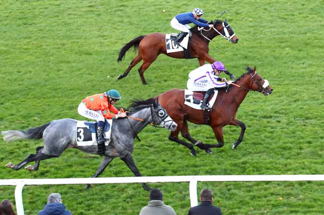 Photo d'arrivée de la course pmu PRIX DES ERABLES à FONTAINEBLEAU le Mardi 7 novembre 2023