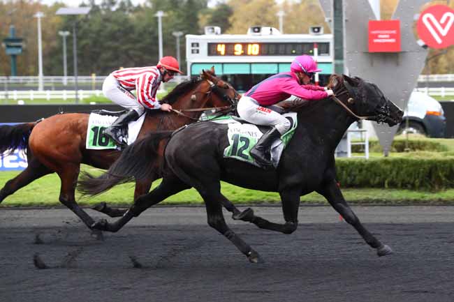 Photo d'arrivée de la course pmu PRIX D'AVESNES à PARIS-VINCENNES le Jeudi 9 novembre 2023