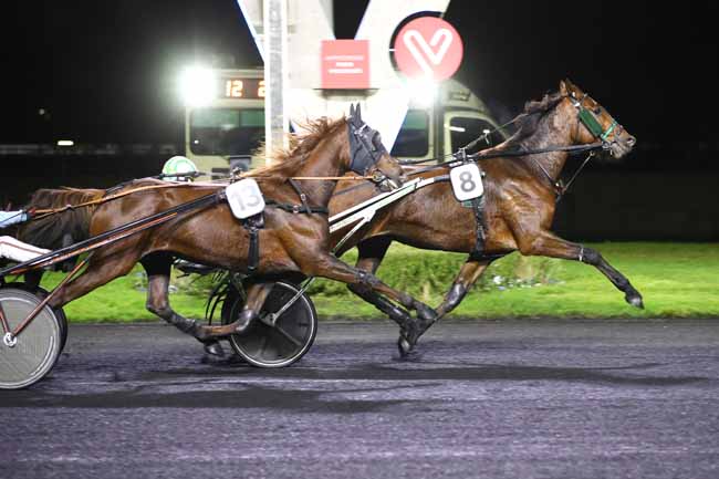 Photo d'arrivée de la course pmu PRIX DEJOPEJA à PARIS-VINCENNES le Vendredi 10 novembre 2023