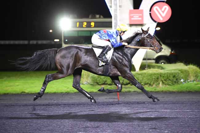 Photo d'arrivée de la course pmu PRIX CENERI FORCINAL à PARIS-VINCENNES le Vendredi 10 novembre 2023