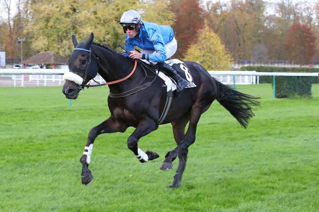 Photo d'arrivée de la course pmu PRIX DE LA HAGUE à COMPIEGNE le Vendredi 10 novembre 2023