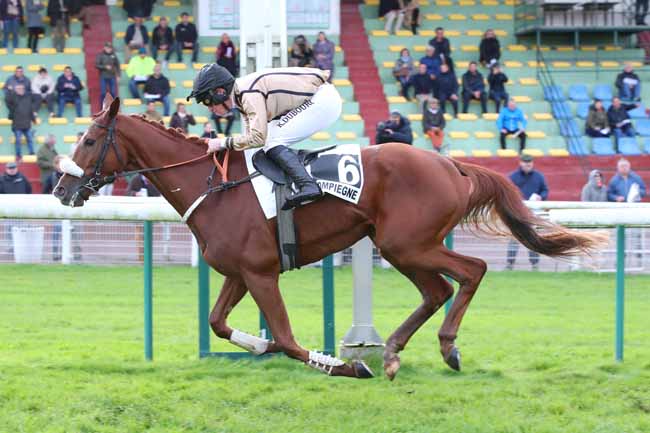 Photo d'arrivée de la course pmu PRIX ASTON BLOUNT à COMPIEGNE le Vendredi 10 novembre 2023