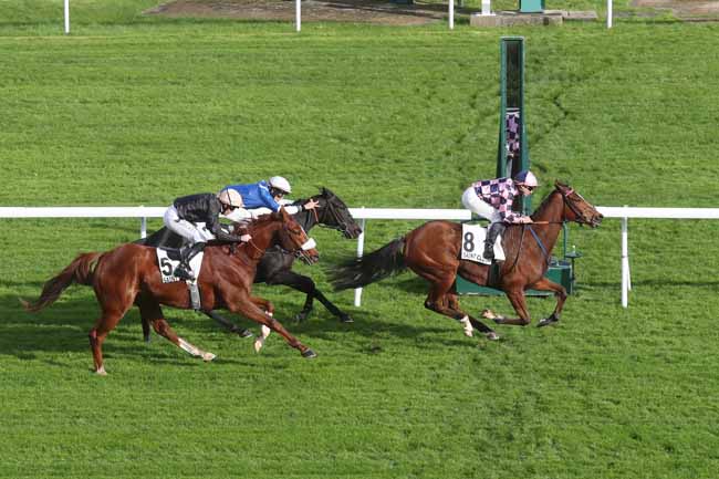 Photo d'arrivée de la course pmu PRIX D'ISSY-LES-MOULINEAUX à SAINT CLOUD le Vendredi 10 novembre 2023