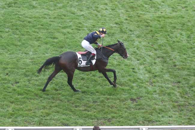 Photo d'arrivée de la course pmu PRIX CAMBACERES - GRANDE COURSE DE HAIES DES 3 ANS à AUTEUIL le Dimanche 12 novembre 2023