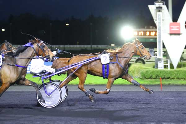 Photo d'arrivée de la course pmu PRIX DE BRIANCON à PARIS-VINCENNES le Mardi 14 novembre 2023
