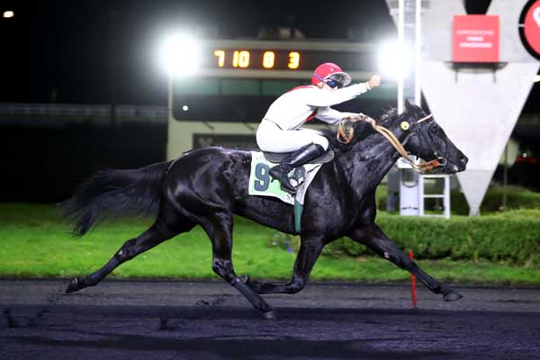 Photo d'arrivée de la course pmu PRIX SILESIA à PARIS-VINCENNES le Mardi 14 novembre 2023