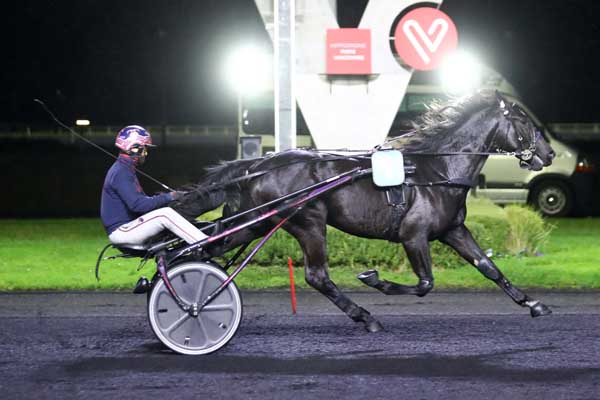 Photo d'arrivée de la course pmu PRIX SIWA à PARIS-VINCENNES le Mardi 14 novembre 2023
