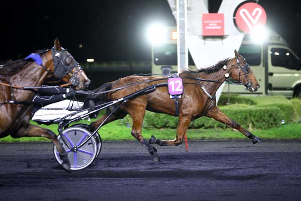Photo d'arrivée de la course pmu PRIX UNITAS à PARIS-VINCENNES le Mardi 14 novembre 2023