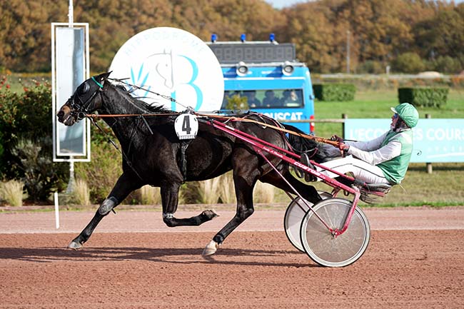 Photo d'arrivée de la course pmu GRAND PRIX DYNAVENA à BORDEAUX-LE BOUSCAT le Mercredi 15 novembre 2023