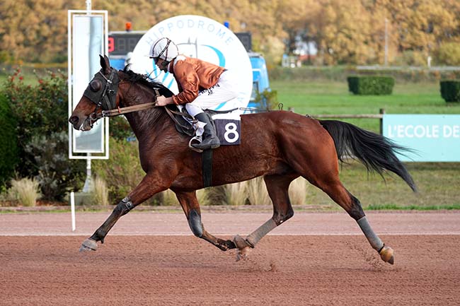 Photo d'arrivée de la course pmu PRIX FANDANGO à BORDEAUX-LE BOUSCAT le Mercredi 15 novembre 2023