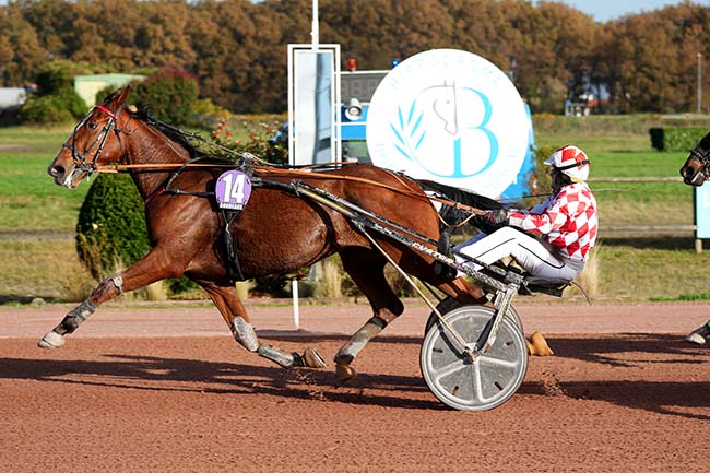 Photo d'arrivée de la course pmu PRIX JEAN-FRANCOIS MAURY à BORDEAUX-LE BOUSCAT le Mercredi 15 novembre 2023