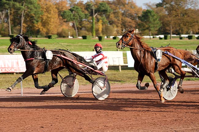 Photo d'arrivée de la course pmu PRIX DS AUTOMOBILE BORDEAUX à BORDEAUX-LE BOUSCAT le Mercredi 15 novembre 2023