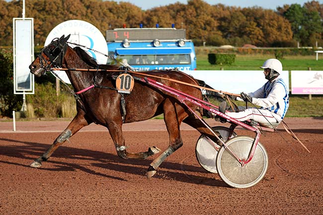 Photo d'arrivée de la course pmu PRIX MARQUISE DE MORATALLA à BORDEAUX-LE BOUSCAT le Mercredi 15 novembre 2023