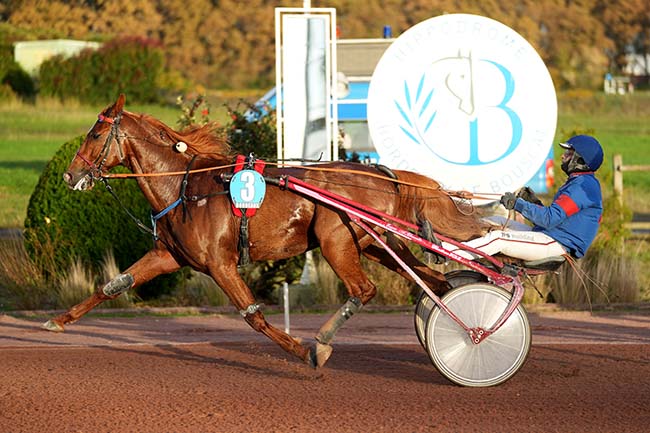 Photo d'arrivée de la course pmu PRIX BORDEAUX - METROPOLE à BORDEAUX-LE BOUSCAT le Mercredi 15 novembre 2023