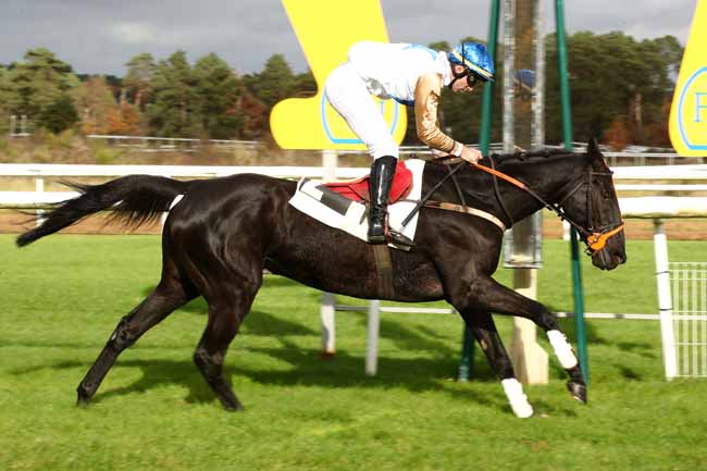 Photo d'arrivée de la course pmu PRIX DU THEATRE IMPERIAL DU CHATEAU DE FONTAINEBLEAU à FONTAINEBLEAU le Mercredi 15 novembre 2023