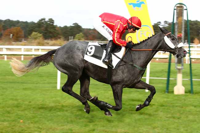Photo d'arrivée de la course pmu PRIX DE LA ROUTE AMELIE à FONTAINEBLEAU le Mercredi 15 novembre 2023