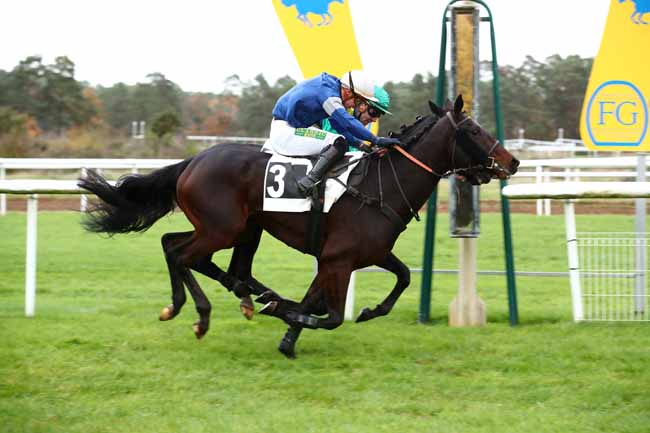 Photo d'arrivée de la course pmu PRIX DU CARREFOUR DU NID DE L'AIGLE à FONTAINEBLEAU le Mercredi 15 novembre 2023