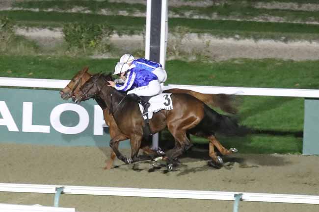 Photo d'arrivée de la course pmu PRIX DU PONT D'OUILLY à DEAUVILLE le Mercredi 15 novembre 2023