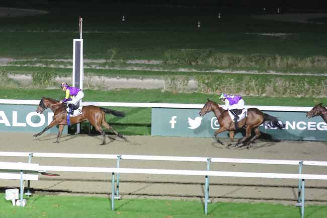 Photo d'arrivée de la course pmu PRIX GREY DAWN à DEAUVILLE le Mercredi 15 novembre 2023