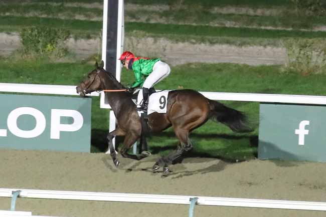 Photo d'arrivée de la course pmu PRIX DU MANOIR DE CAILLERIE à DEAUVILLE le Jeudi 16 novembre 2023