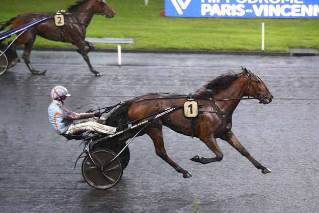 Photo d'arrivée de la course pmu PRIX DE THORIGNY à PARIS-VINCENNES le Jeudi 16 novembre 2023