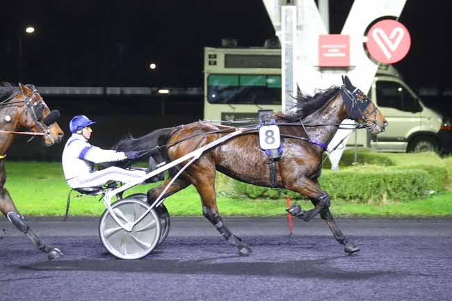 Photo d'arrivée de la course pmu PRIX CAMPANUS à PARIS-VINCENNES le Vendredi 17 novembre 2023
