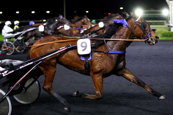 Photo d'arrivée de la course pmu PRIX MIZAR à PARIS-VINCENNES le Vendredi 17 novembre 2023