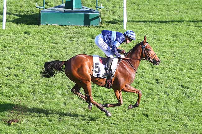 Photo d'arrivée de la course pmu PRIX PHARSALE à SAINT CLOUD le Vendredi 17 novembre 2023