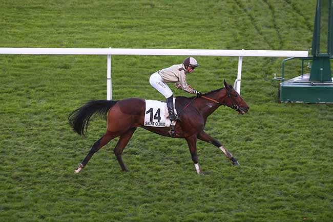Photo d'arrivée de la course pmu PRIX DES FALAISES DE CRAIE à SAINT CLOUD le Vendredi 17 novembre 2023