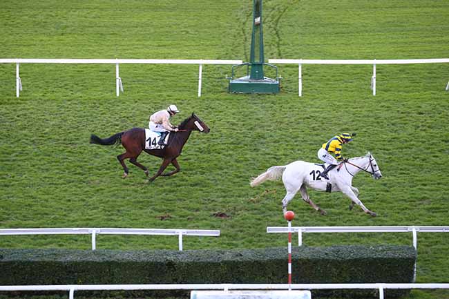 Photo d'arrivée de la course pmu PRIX DES BOUCLES DE LA SEINE à SAINT CLOUD le Vendredi 17 novembre 2023