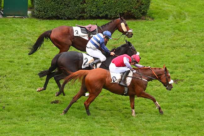 Photo d'arrivée de la course pmu STEEPLE-CHASE NATIONAL DES ANGLO-ARABES à AUTEUIL le Samedi 18 novembre 2023