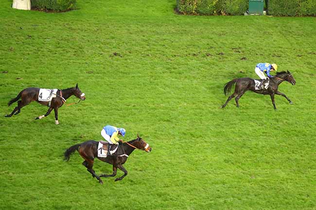 Photo d'arrivée de la course pmu PRIX SYTAJ à AUTEUIL le Samedi 18 novembre 2023