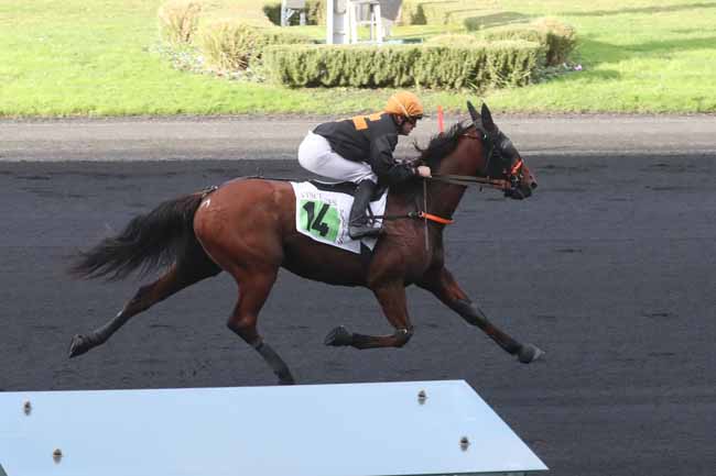 Photo d'arrivée de la course pmu PRIX WTW HIPCOVER ASSURANCES HIPPIQUES à PARIS-VINCENNES le Dimanche 19 novembre 2023