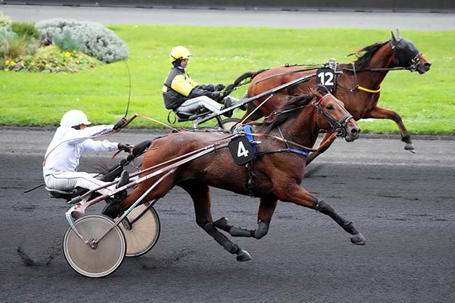 Photo d'arrivée de la course pmu PRIX DE CASSAIGNE à PARIS-VINCENNES le Lundi 20 novembre 2023