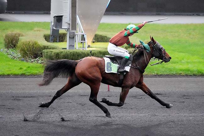 Photo d'arrivée de la course pmu PRIX DE MIRAMONT DE GUYENNE à PARIS-VINCENNES le Lundi 20 novembre 2023
