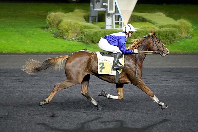 Photo d'arrivée de la course pmu PRIX D'AIX LES BAINS à PARIS-VINCENNES le Lundi 20 novembre 2023