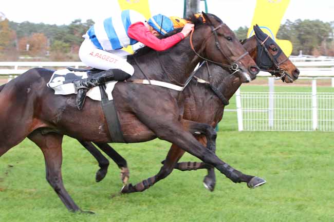 Photo d'arrivée de la course pmu PRIX DE LA GROTTE DES ERMITES à FONTAINEBLEAU le Lundi 20 novembre 2023